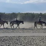 Siviero * Scardovari